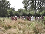 Deutscher Gangbang im Feld