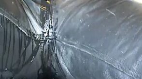 Pissen in Lederhosen